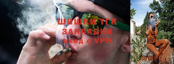 винт Верея