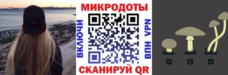 Псилоцибиновые грибы Psilocybine cubensis Зуевка